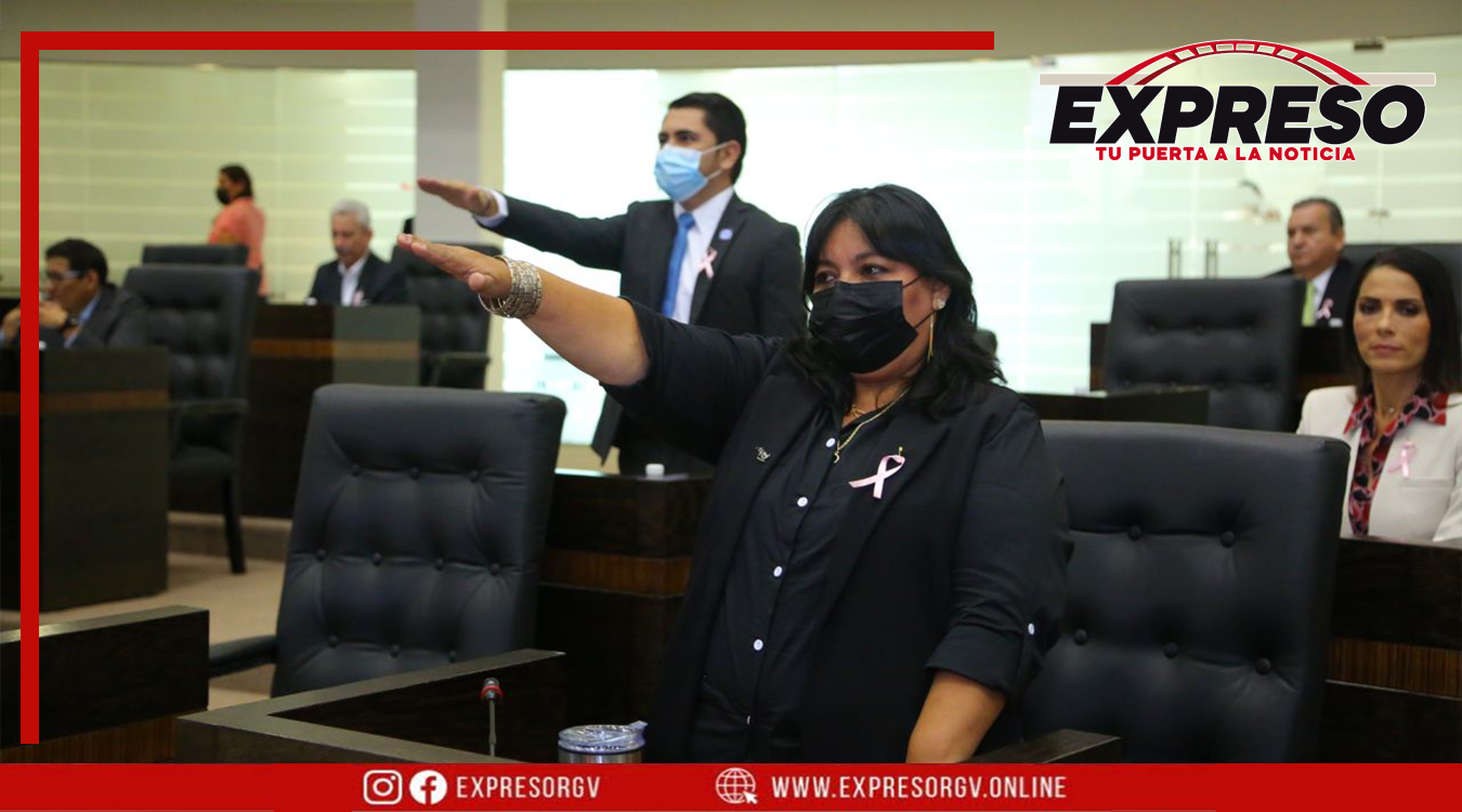 Renuncia Una Diputada De Morena Para Unirse A Pan En Tamaulipas